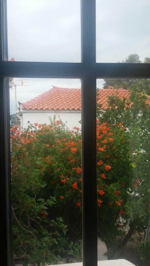 Villa Window To The Aegean Velanidia Exterior foto